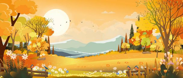 Vector Autumn panorama landscape farm field with orange sky, Beautiful sunset in Autumn countryside panorama view with yellow foliage, Fall season with copy space for banner background - Вектор,изображение