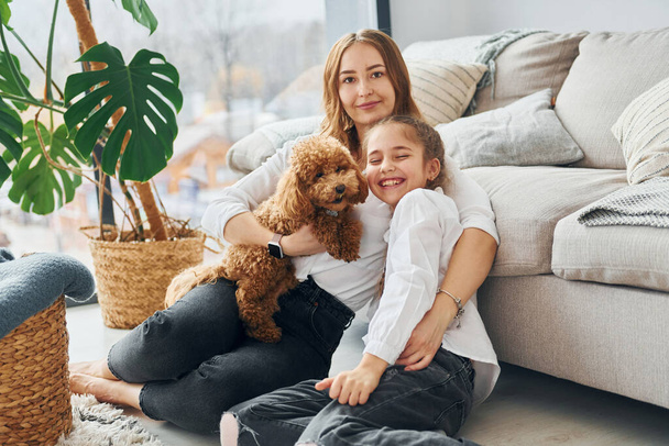 Mother with her daughter playing with dog. Cute little poodle puppy is indoors in the modern domestic room. - Photo, Image