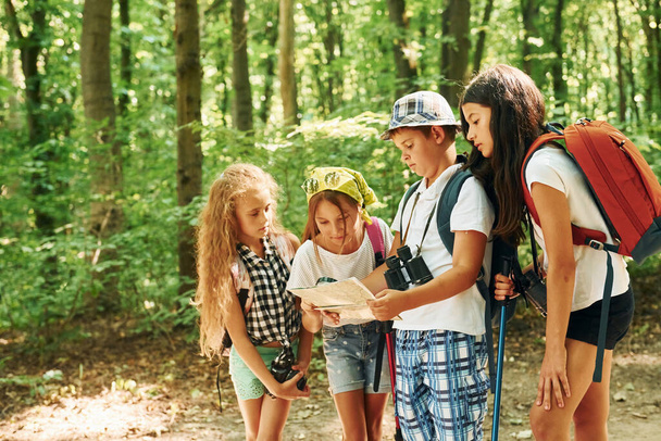 Looking for a path. Kids strolling in the forest with travel equipment. - Foto, Imagen