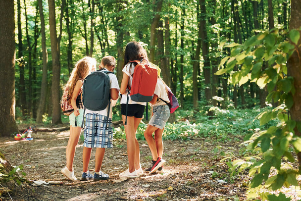 Kids strolling in the forest with travel equipment. - Zdjęcie, obraz