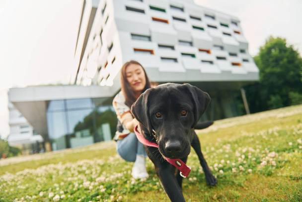 Cute dog. Young asian woman is outdoors at daytime. - Foto, Bild