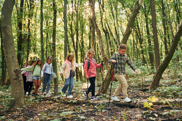 Walking on the log. Kids in green forest at summer daytime together. - Foto, Bild