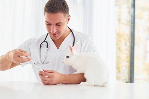 Verwendet Stethoskop. Junge Tierärztin ist mit kleinem Kaninchen drinnen. Konzept des Gesundheitswesens. - Foto, Bild
