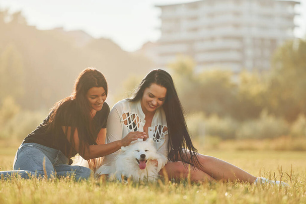 Kaksi naista koiran kanssa pitää hauskaa kentällä aurinkoisella päivällä.. - Valokuva, kuva