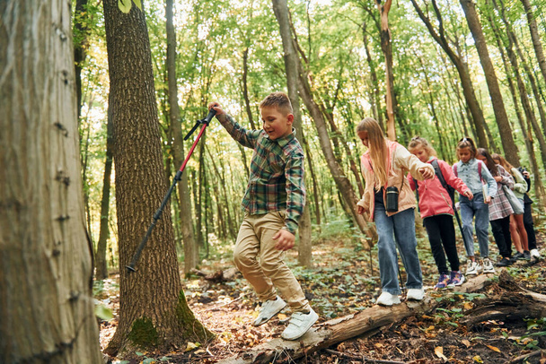 Gehen auf dem Baumstamm. Kinder im grünen Wald am Sommertag zusammen. - Foto, Bild