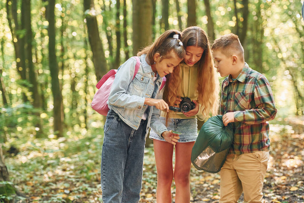 Having a walk. Kids in green forest at summer daytime together. - Foto, Bild