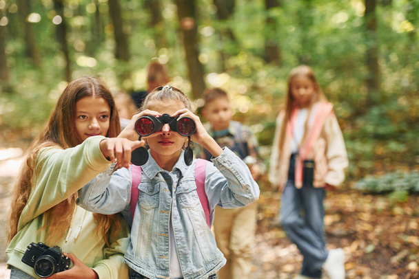 Front view of kids that is in green forest at summer daytime together. - Fotoğraf, Görsel