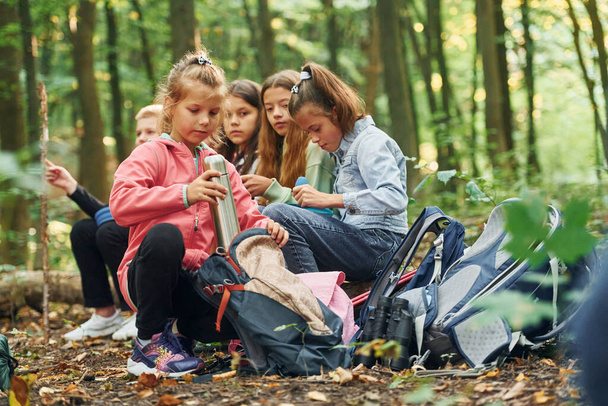 Sitting and having a rest. Kids in green forest at summer daytime together. - Fotoğraf, Görsel