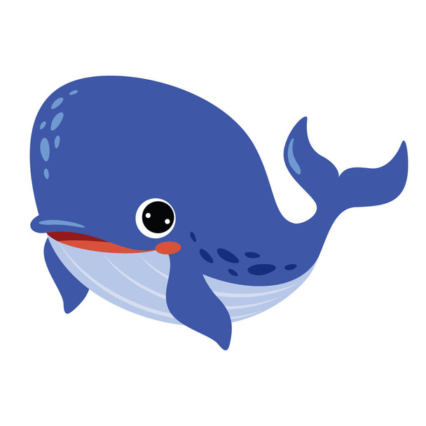 Cartoon Drawing Of A Whale - Vector, Image