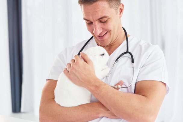 Young veterinatian is indoors with little rabbit. Conception of healthcare. - Valokuva, kuva