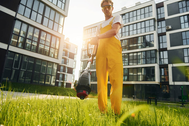 Beautiful sunshine. Man cut the grass with lawn mover outdoors in the yard. - Fotoğraf, Görsel
