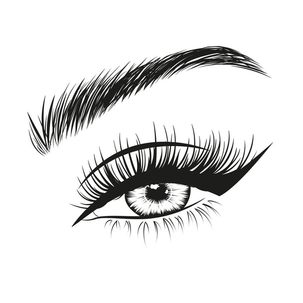 Hand drawn woman's sexy luxurious makeup look with perfectly shaped eyebrow and lashes. Векторная иллюстрация для визитной карточки, типографа, печати. Идеальный салон. Ламинация бровей и ресниц. - Вектор,изображение