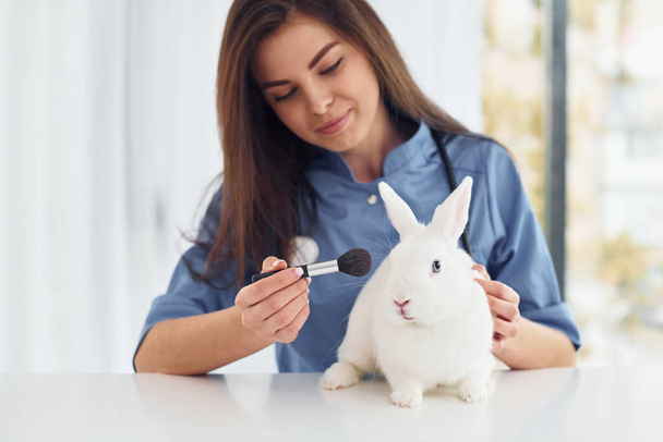 Female veterinatian is indoors with little rabbit. Conception of healthcare. - Fotografie, Obrázek