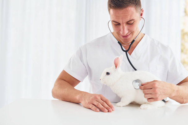 Uses stethoscope. Young veterinatian is indoors with little rabbit. Conception of healthcare. - Fotoğraf, Görsel