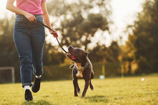 Close up view. Woman in casual clothes is with pit bull outdoors. - Foto, Imagem