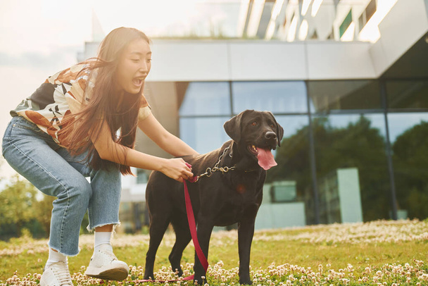Playing with dog. Young asian woman is outdoors at daytime. - Fotoğraf, Görsel