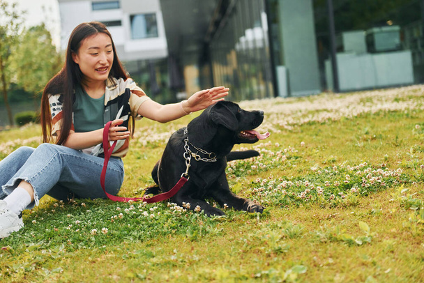 Playing with dog. Young asian woman is outdoors at daytime. - Valokuva, kuva