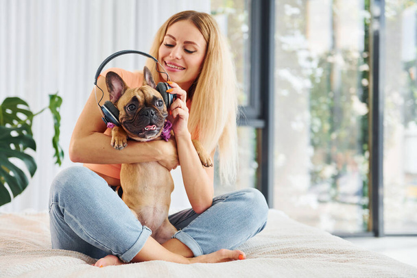 Putting headphones on pet. Woman with pug dog is at home at daytime. - Foto, Imagem