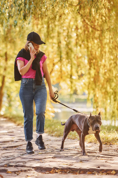 Yellow leaves at background. Woman in casual clothes is with pit bull outdoors. - Zdjęcie, obraz