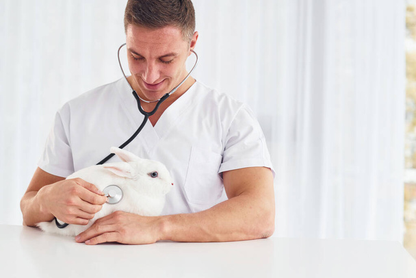 Young veterinatian is indoors with little rabbit. Conception of healthcare. - Фото, изображение