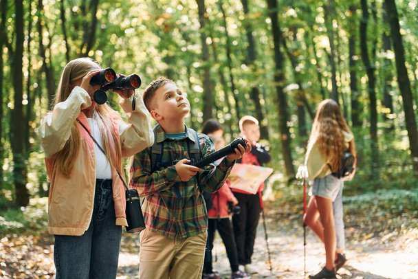 New places. Kids in green forest at summer daytime together. - Fotó, kép