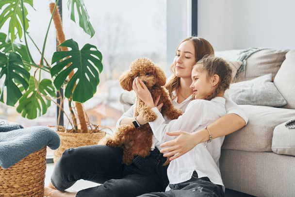 Mother with her daughter playing with dog. Cute little poodle puppy is indoors in the modern domestic room. - Foto, immagini