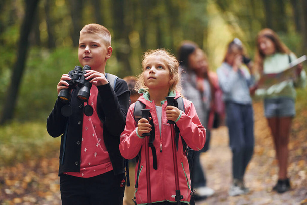 Having a walk. Kids in green forest at summer daytime together. - Φωτογραφία, εικόνα
