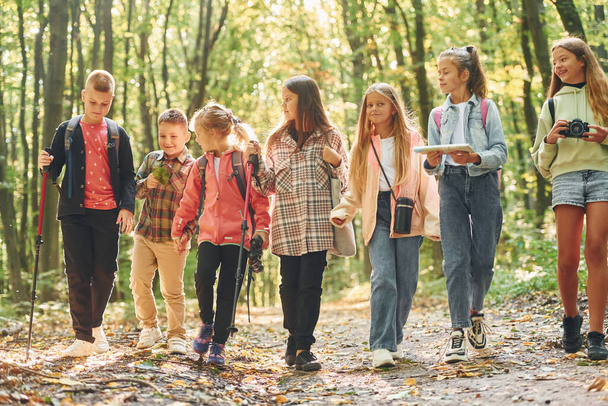 Walking together. Kids in green forest at summer daytime. - Fotografie, Obrázek