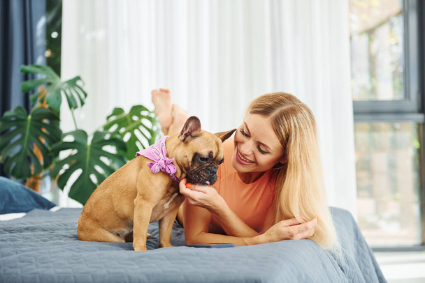 Laying down on bed. Woman with pug dog is at home at daytime. - Foto, Imagem