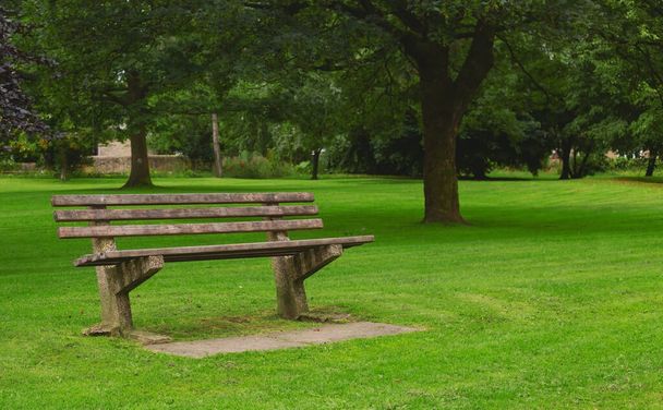 緑の公園でリラックスするための木製のベンチ - 写真・画像