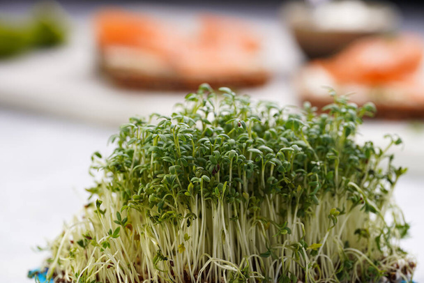 Filled frame background. Green micro herb watercress salad - Foto, Bild
