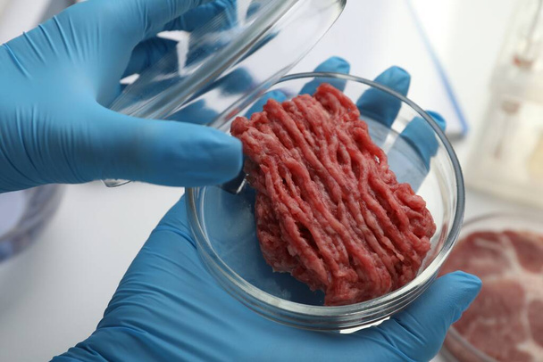 Scientist holding Petri dish with minced cultured meat in laboratory, closeup - 写真・画像