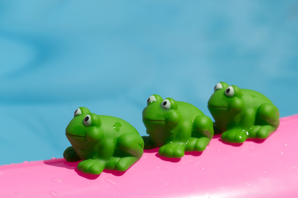 Sapo de brinquedo em uma piscina inflável
 - Foto, Imagem