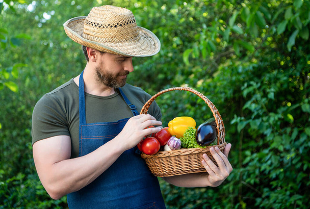 agricultural worker in straw hat hold basket full of vegetables. - Fotoğraf, Görsel