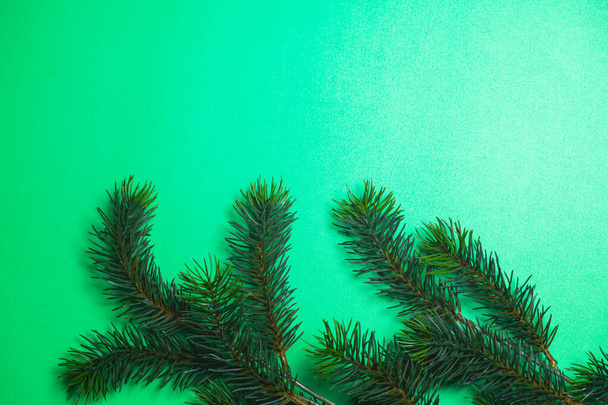 Christmas tree branches. The concept of the new year, christmas, nature. Banner. Flat lay, top view on green background - Foto, immagini