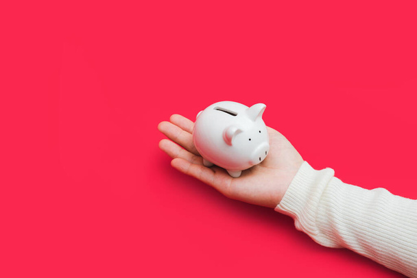 Close up shot of female hands holding a small piggy bank. Save money and financial investment concept with copy space, banner. - Фото, изображение