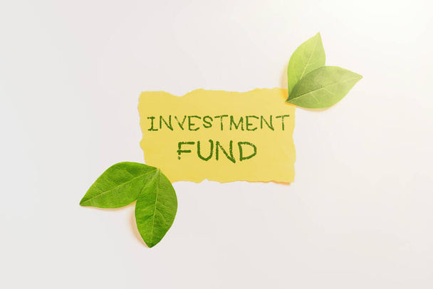 Κείμενο γραφής Επενδυτικό Ταμείο Μια παροχή κεφαλαίου που ανήκει σε πολλούς επενδυτές, Ιnternet Concept Μια παροχή κεφαλαίου που ανήκει σε πολλούς επενδυτές - Φωτογραφία, εικόνα