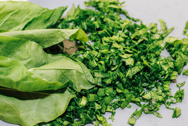 Young green chopped greens close-up, sour sorrel. - Фото, изображение