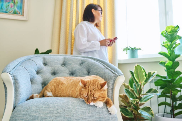 Relaxed sleeping ginger cat on armchair, woman using smartphone in defocus. Old red cat resting at home, together with owner in interior of room. Lifestyle, pets, animals, people, comfort home concept - Zdjęcie, obraz