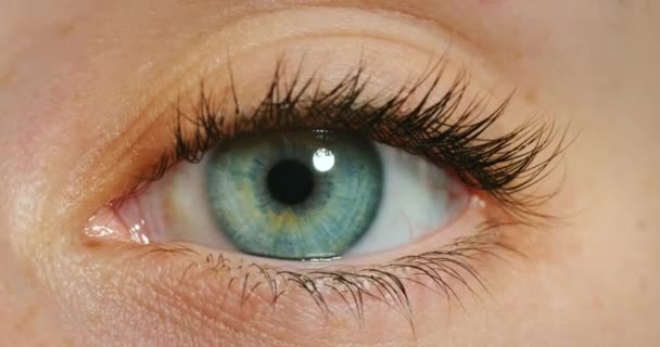 Жіноче обличчя, блакитні кольорові очі і фокус, зір і контактні лінзи, щоб побачити, догляд за очима і здоров'я. Масштабувати макропортрет миттєво, спостерігати і оптимізувати тест у сприйнятті, анатомію людини і косметичну красу
. - Кадри, відео