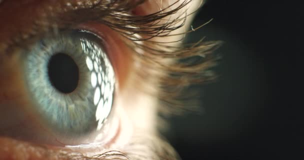 Göz kırpma, yakınlaştırma ve kirpikli ışık, iyi iris görüşü ve optometrist estetikten sonra sağlıklı görme yeteneği. Doğal, güzel ve duyarlı mavi gözlü ve odaklanmış biri.. - Video, Çekim