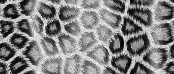 piel de leopardo fondo blanco y negro - Foto, Imagen