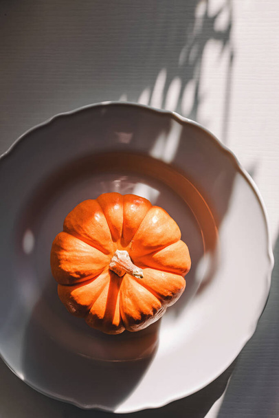 Minimalist table setting in natural light. Decorative pumpkin on the white plate, top view - Photo, image