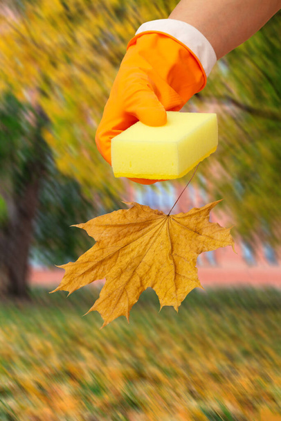 Vue rapprochée de la main de la femme en gant de caoutchouc orange avec éponge et arbres d'automne flous à l'arrière-plan. Concept de lavage et de nettoyage. - Photo, image