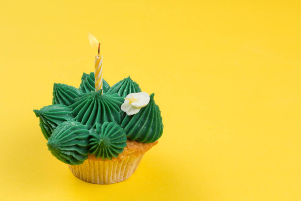cake with green cream in the form of a cactus or succulent, with a burning candle, on a yellow background, the concept of a holiday and a birthday - Photo, Image
