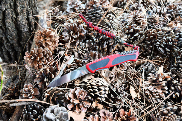 Folding knife cutting stainless blade red black handle brown dry grass wood forest pine cone nature macro background  - Photo, Image