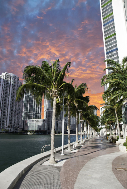 Miami beach w zachód słońca, florida - Zdjęcie, obraz