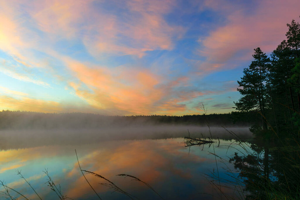 湖の表面を覆う霧や木々の黒いシルエットや水面に映る反射が美しい日の出の絵 - 写真・画像