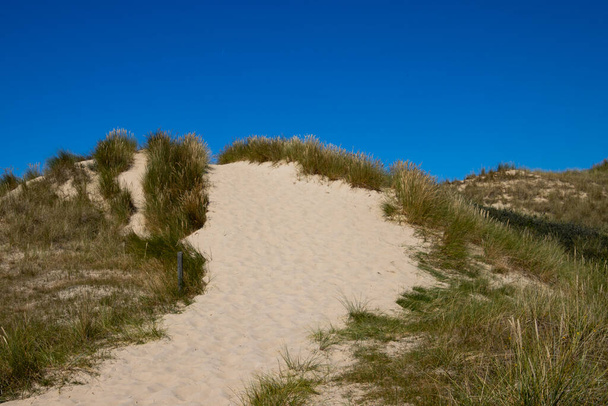 Paisagem de dunas na ilha de Amrum - Foto, Imagem