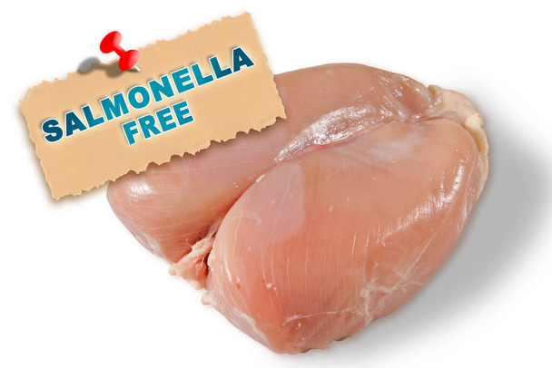 Fresh chicken meat certified free from salmonella bacterium - HACCP (Hazard Analyses and Critical Control Points) - Food Safety and Quality Control in food industry concept - Photo, Image